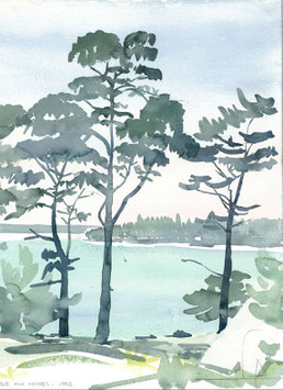 Ile aux Moines