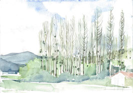 Vallée du Cérou