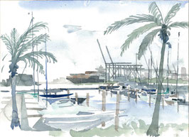 Miami palmiers