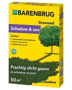 Barenbrug Shadow