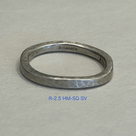 R-2.5 HM-SQ SV