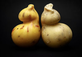 combo caciocavallo 1+1