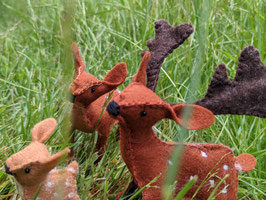 Vader, moeder en baby hert