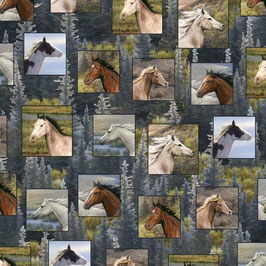 Pferde, Running Wild, Quilting Treasures, 03291550615
