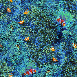 Clownfish, Hoffman Fabrics 09335050722