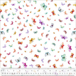 Wild Meadow, Butterflies, Windham 02050050626