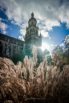 Notre Dame d'Evreux
