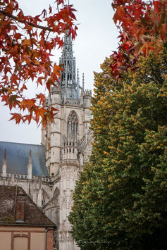 Notre Dame d'Evreux