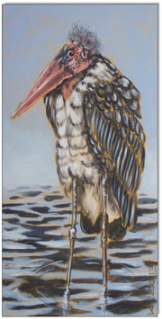 Marabu
