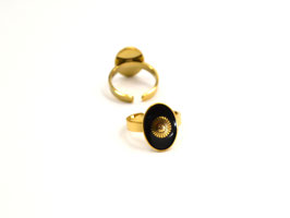 Ring - 18K vergoldet - Siegelring - FE-HO