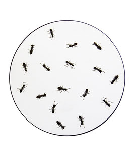 Dessous de verre fourmis (modèle 14 )
