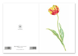 Grußkarte Tulpe rotgelb kl225