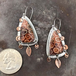 Fossilized Coral earrings with copper accents