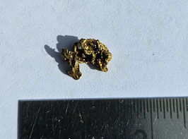 Sehr schönes Schweizer Goldnugget Kristallin  0.36 Gramm Region Vorderrhein