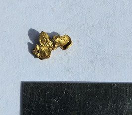 Sehr schönes Schweizer Goldnugget Kristallin  0.18 Gramm Region Vorderrhein