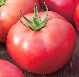 Fleischtomate "Berner Rose"