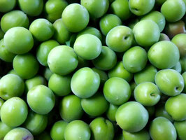 青梅　白加賀指定　（シロップ/梅酒用）