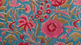 Fleurs cosmos sur un bleu franc