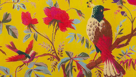 Oiseaux exotiques sous soleil lumineux