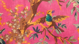 Oiseaux exotiques sous un ciel rose (2)