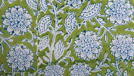 Fleurs des prés sur un vert prairie (1)