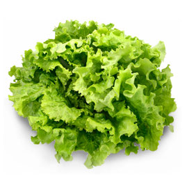 Salade batavia