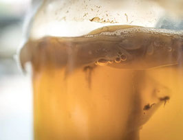 Mama de koumbucha biodynamique (fraiche et préparée sur demande)