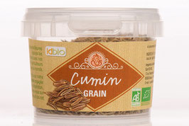 Cumin graines (40g)
