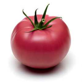 Tomate rose (de Berne ou Ponderosa)