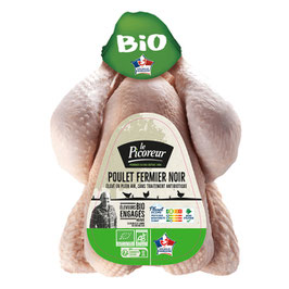 Poulet noir
