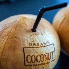Noix de coco A BOIRE (pièce)