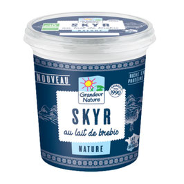 Skyr de brebis