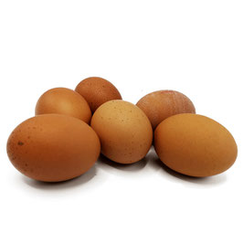 Oeufs (boîte de 6)