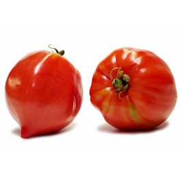 Tomate Coeur de boeuf ou marmande