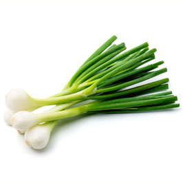 Oignon cebette (botte)