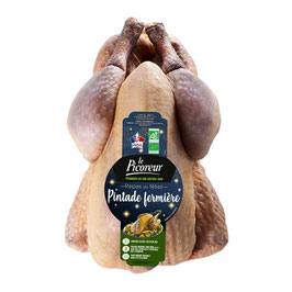 Pintade fermière