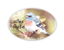 Geschenkaufkleber - oval | Blue Bird - Alles Gute