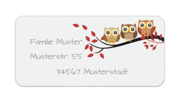 Adressaufkleber eckig  | Eulenfamilie auf Ast