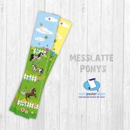 Messlatte | Ponys