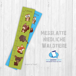 Messlatte | Niedliche Waldtiere