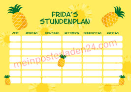 A4 Stundenplan | Ananas