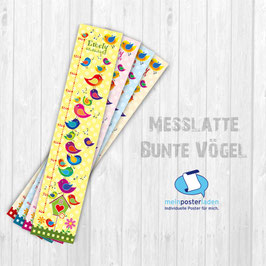 Messlatte | Kleine bunte Vögel