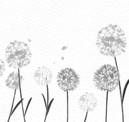 Selbstklebende Vliesbordüre | Aquarell Pusteblume