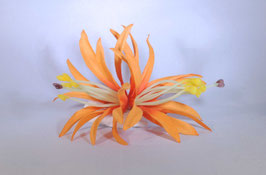 12 cm Spider-Lily-Haarclip orange