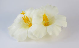 12 cm Hibiskus Doppel-Haarclip