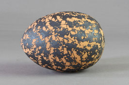 Eiform, orange-schwarz, S1 ca.12cm