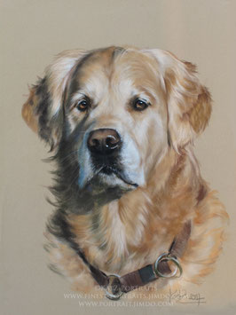 Pastel Drawing from your Pet Photo