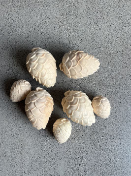 NEU Arvenzapfen aus Arvenholz