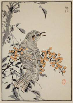 Vogel mit Beeren nach einem Motiv von Kono Bairei (1844 –1895) KB11