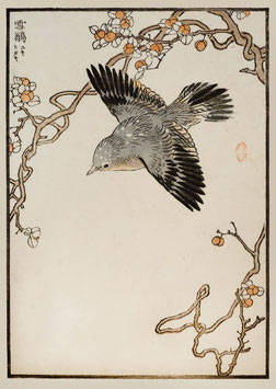 Fliegender Vogel mit Blüten nach einem Motiv von Kono Bairei (1844 –1895) KB05